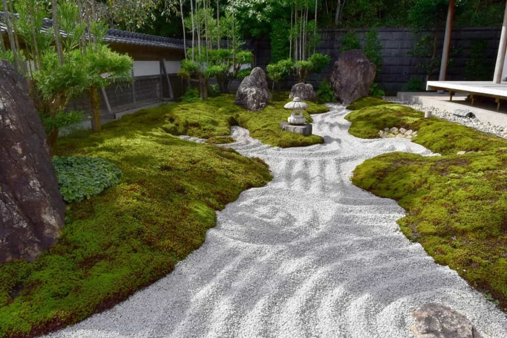 森盛の特徴