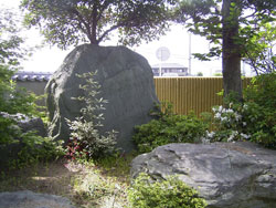 自然に優しいお庭